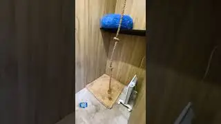 Лемуры Марго и Джулиан оценили новый вольер 😻