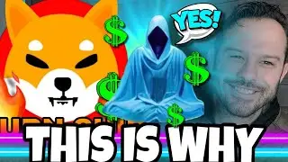 Shiba Inu Coin | The Reason SHIB Is Running! Don't Let Is Stop!