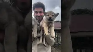 AİLEMİZİN YENİ ÜYESİ GELİYOR! 