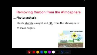 ES-Carbon Cycle notes Part 1: Adding to Atmosphere