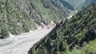 20-cashar🌲🌳Kyrgyzstan,KaraKul'