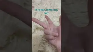 В конце попал под бит #подпишись #бит