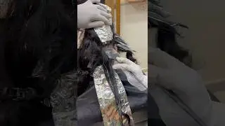How to do Highlights with grey cover #hairkeratin #hairstyle #haircare #hairkeratintreatment #hair