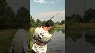 Giant Bass on a Topwater Frog! (Booyah Pad Crasher Jr.)