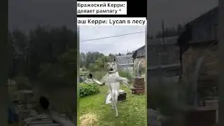 #dota2 #dota2memes #dota2meme