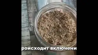 Земляная свеча -дарит Силу