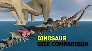 Dinosaur Size Comparison 3D - Smallest to Biggest 2024