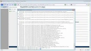 1. RapidOSS and Netcool - Installation and Configuration