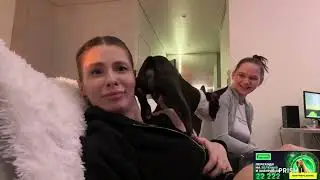 red flag для вишенки