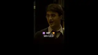 Happy birthday to the Chosen Leo #HarryPotter #Leo