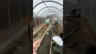 Моя теплица🍅🥒🌿