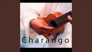 CHARANGO MELODIES