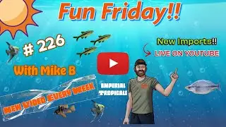 Imperial Tropicals Fun Friday # 226 New Imports!