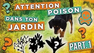 POISON du CHIEN dans le JARDIN - Part 1