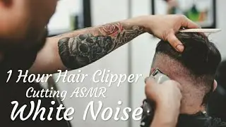 ASMR|No Talking•1 Hour Hair Clipper Cutting | White Noise for Relaxing，Sleeping，Studying