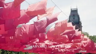 Sights and sounds of a Harvard summer