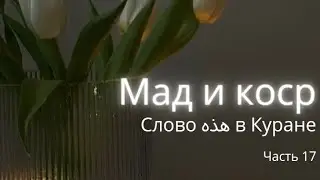 Слово هذه в Куране