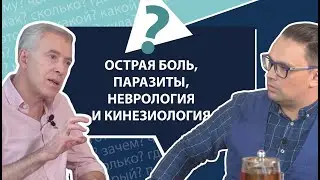Острая и хроническая боль, протоколы лечения, блокаторы, паразиты | МНЕ ТОЛЬКО СПРОСИТЬ?!