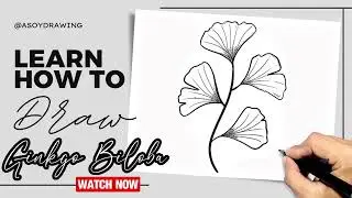 How to Draw Ginkgo Biloba Easy Drawing