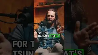 Surviving Tsunamis