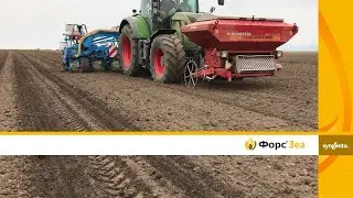 Защита семян кукурузы от проволочника