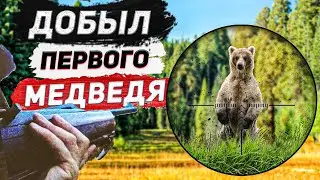 Охота на медведя! Добыл первого медведя! Рецепт медвежьих ребер.