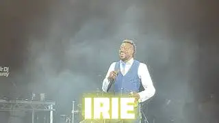 Irie (Beenie Man Dancehall Type Beat 2025)