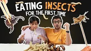 We ate INSECTS  | Ok Tested
