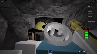 The maze? bet (playing the maze horror game in roblox)