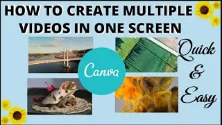 How to Create Multiple Videos in One Screen with Canva 