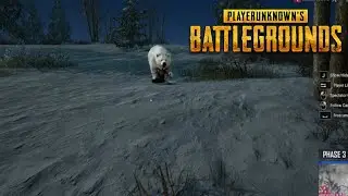 #PlayerUnknown'sBattlegrounds - Polar Bear attack on my Teammate (Free Cam View)