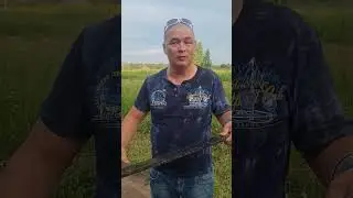 23 июля 2024 г.