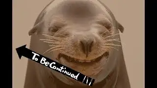 To Be Continued MEME: Sea lion drags girl into Steveston waters / Морской лев утащил девочку в воду