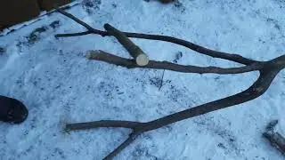 САМЫЙ ВЫСОКИЙ СТЕНД ДЛЯ ПОПУГАЯ !!! Процесс работы