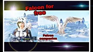 How to get Falcon for free in Pubg mobile | Unlock Falcon companion for free