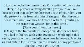 Immaculate Conception Novena