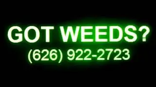 WEED PULLING, Barstow, CA, Weeds Removed, Weed Control, Weed Removal, Weed Abatement, Brush Removal