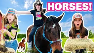 A Day in the Life of a Horse Owner! (Meet Our Horse Bubba)