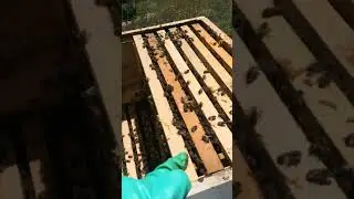 29.04.2017 Petek işletme  1