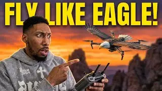 Fly Like An Eagle - Video Vlog'N Part 206