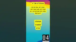 The Mysterious Echoes Revealed