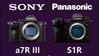 Panasonic Lumix DC-S1R vs Sony Alpha a7R III