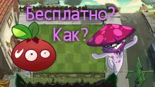 Гайд по получению любого растения бесплатно в пвз2