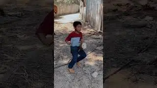 Los mejores caballos bailadores de méxico #vaqueros #rancho
