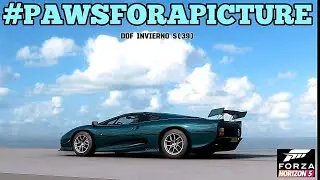 📸Desafío de fotos #PAWSFORAPICTURE |🚗💨Forza Horizon 5 | Invierno serie (39) 