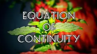 Equation of continuity