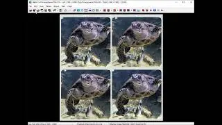 How to create square LR/RL format images for Instagram in StereoPhoto Maker
