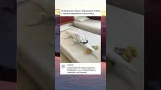 Мемасик из Тик Тока 