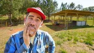 Day in the life on a Small Farm (Spring Day)