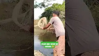 pescaria deu ruim uma sucuri gigante, tombou na tarrafa 😂